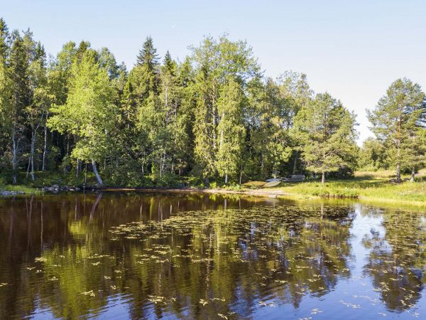 Bjurfors