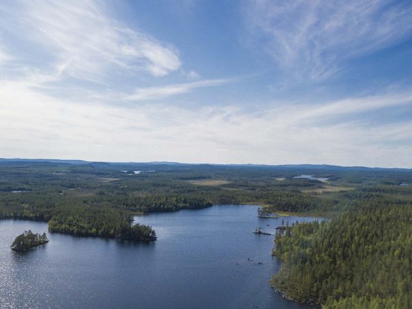 Tavträsket